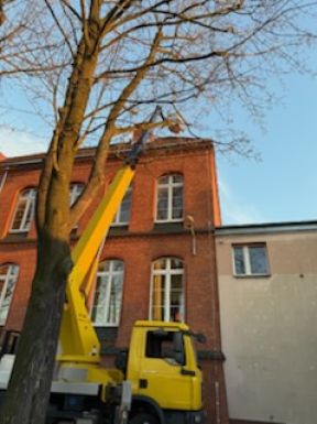 wynajem zwyżki Gliwice